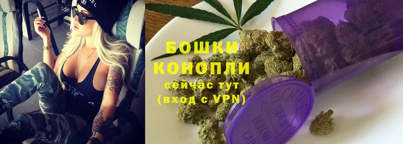 где купить   Аргун  Канабис THC 21% 